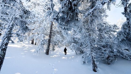 Hampta Pass Trek