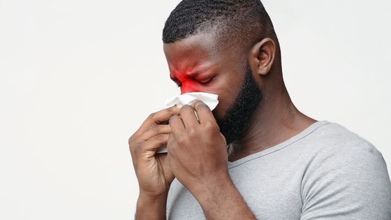 Ayurveda Can Prevent Sinusitis
