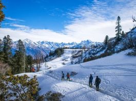 Top hostels to stay in Manali