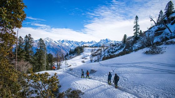 Top hostels to stay in Manali