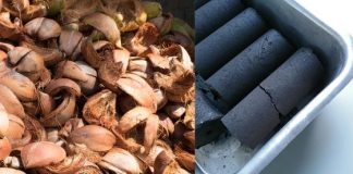 What is The Use of Coconut Shell Charcoal