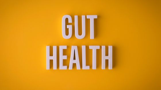 3 Ways Pure Liquid Zeolite Helps Improve Poor Gut Health