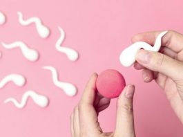 A Brief History of the Developments that Enhance Fertilisation in Vitro