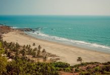 Know What is the Best Activities to do in Goa