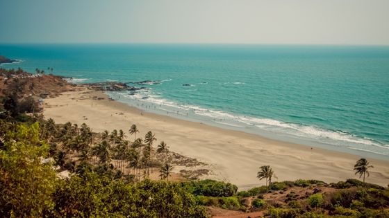 Know What is the Best Activities to do in Goa
