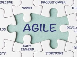 Rodeo Software vs Agile Engine