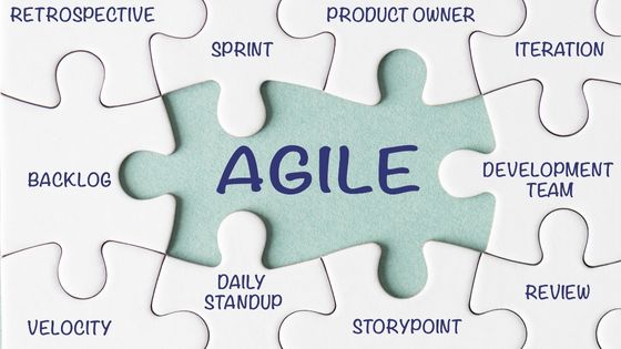 Rodeo Software vs Agile Engine