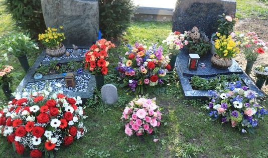 Top 6 Plants For Funeral Service