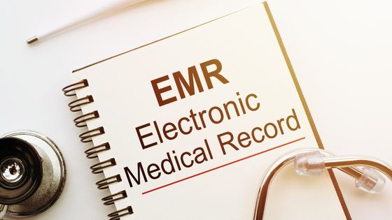 Top EMR Software Guide for Year 2022