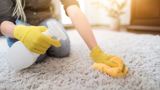 What is Dry Carpet Cleaning