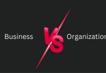 What is The Difference Between a Business and an Organization