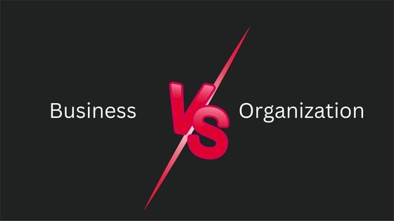 What is The Difference Between a Business and an Organization