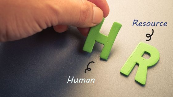 What is The Most Important Role of HR