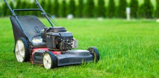 Can You Cut Damp Grass with an Electric Mower