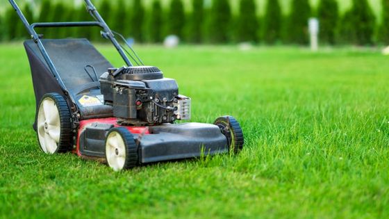Can You Cut Damp Grass with an Electric Mower