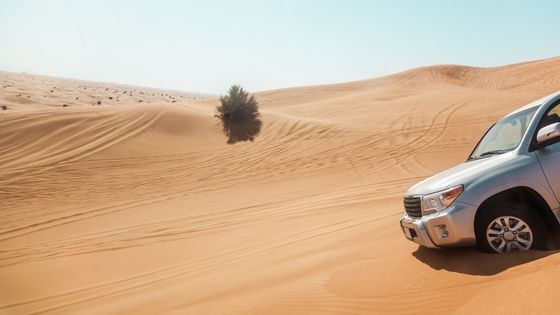 Desert Safari in Sharjah from Dubai City