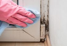 Mould in renatal property