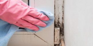 Mould in renatal property