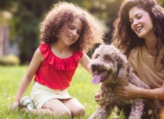 Planning a vacation with your dog