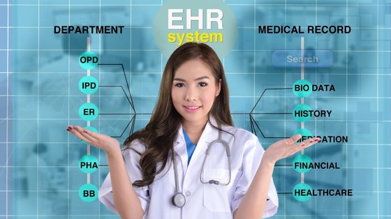 Top EHR Software Guides 2023