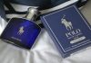 What Is the Difference between Polo Blue and Polo Black Cologne